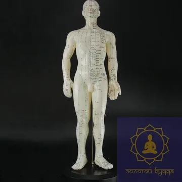 Макет людини чоловіка 50 см.