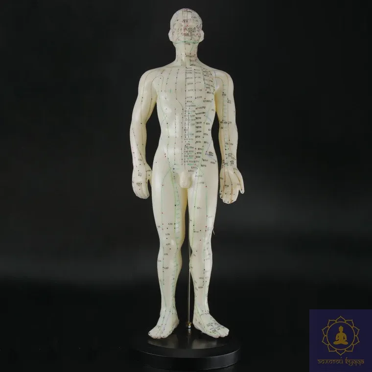 Макет людини чоловіка 50 см.