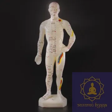 Макет человека 26см.