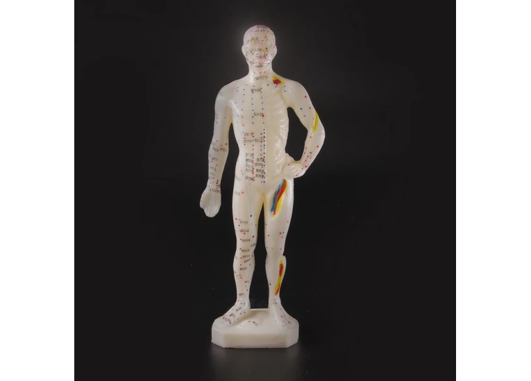 Макет человека 26см.