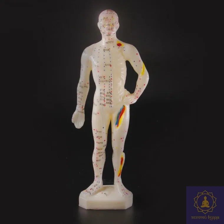 Макет человека 26см.