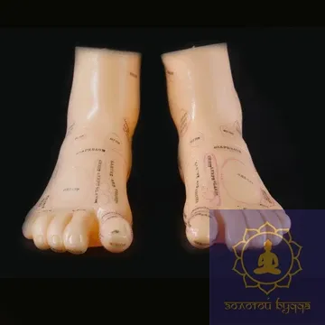 Макет ног