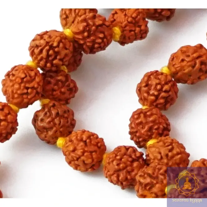 ЧІТКИ З НАСІННЯ РУДРАКШІ 7,5ММ