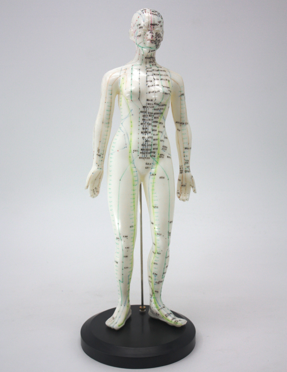 Макеты человека, частей тела