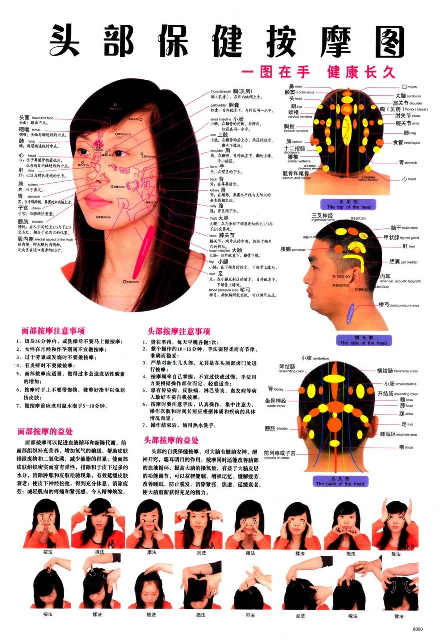 Макеты человека, частей тела