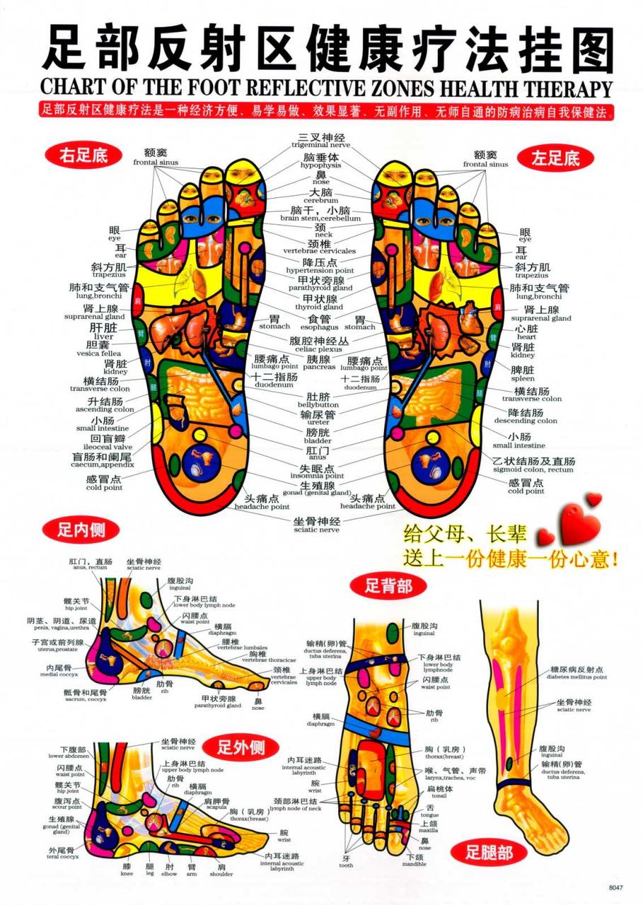 Макеты человека, частей тела