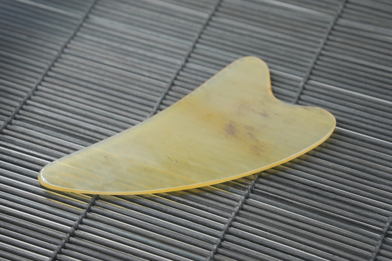 Рог буйвола