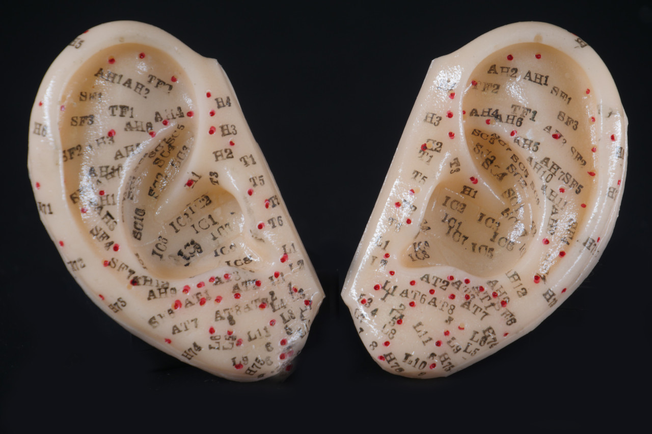 Макеты человека, частей тела