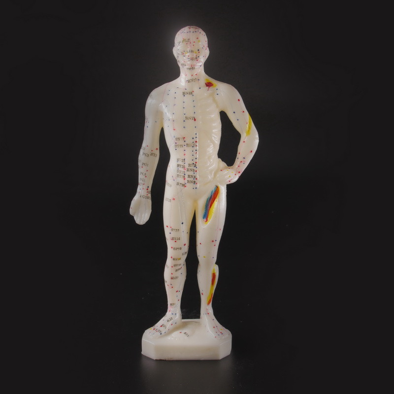 Макеты человека, частей тела