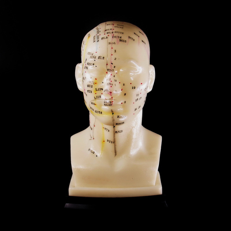 Макеты человека, частей тела