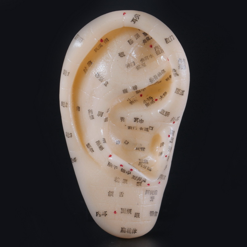 Макеты человека, частей тела