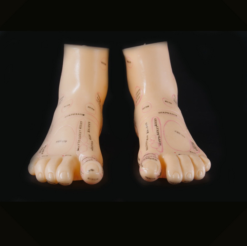 Макеты человека, частей тела